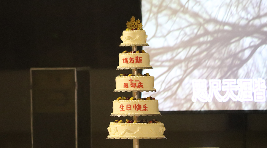 湖南合成石廠家，合成石，耐高溫合成石，合成石碳纖維板，湖南諾方斯新材料