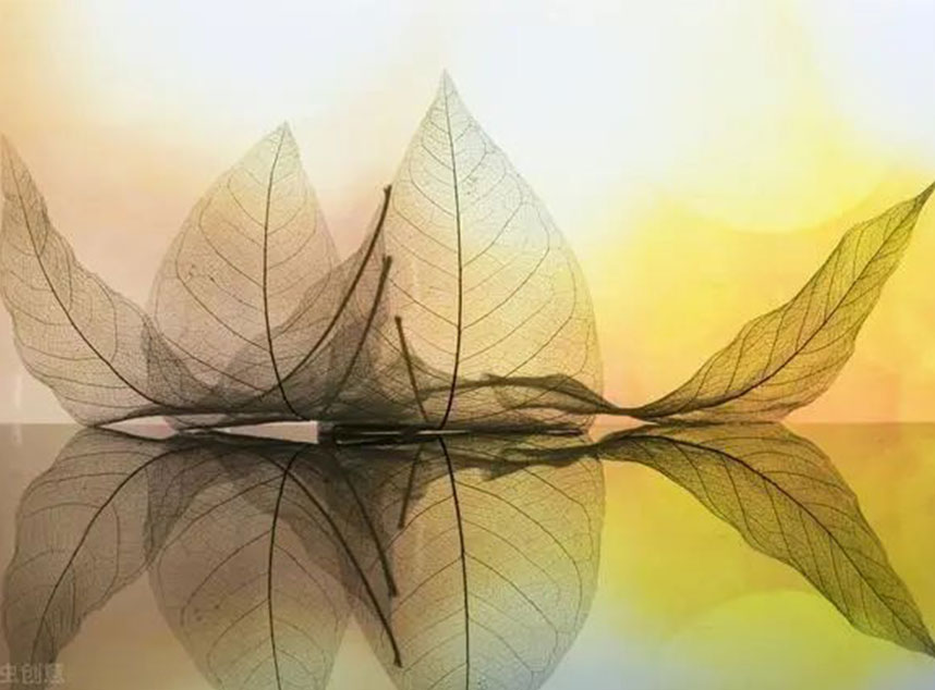 玻纖板廠家，防靜電玻纖板，F(xiàn)R4玻纖板，環(huán)氧板，諾方斯復合材料，