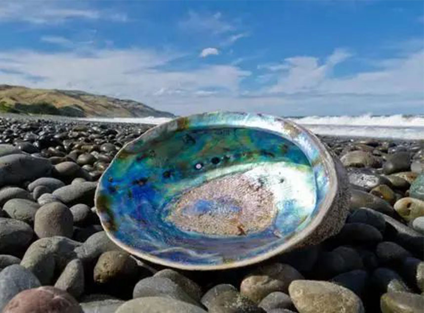 合成石廠家，電木板廠家，玻纖板廠家，隔熱板廠家，復(fù)合材料廠就，諾方斯